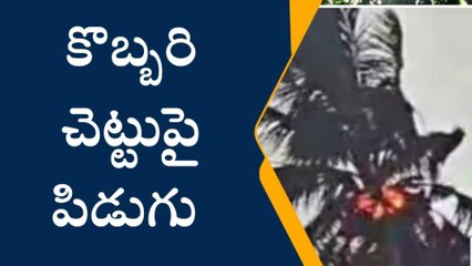 కొత్తూరు: భారీ వర్షం... కొబ్బరిచెట్టుపై అగ్గిపిడుగు