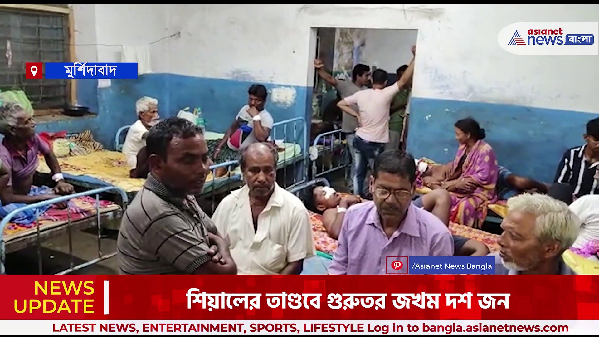 শিয়ালের তাণ্ডবে গুরুতর আহত ১০, আতঙ্কিত মুর্শিদাবাদের খড়গ্রামের বাসিন্দারা