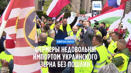 Восточноевропейские фермеры недовольны беспошлинным импортом украинского зерна.