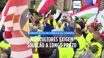 Agricultores da Europa Central e de Leste protestam em Bruxelas