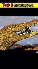 Top amazing facts you don't know/