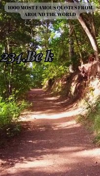 233-236.Motivation Express: Quick Quotes to Fuel Your Ambition in Just Words! #ENJOY!