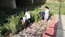 Amritam Jalam: Shramdani gathered to clean the ghat, women wrestlers a