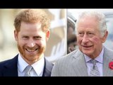 Re Carlo fa un dolce cenno del capo al principe Harry in nuove foto