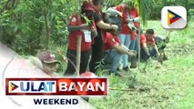 1M puno, target maitanim ng isang organisasyon sa paligid ng Sierra Madre