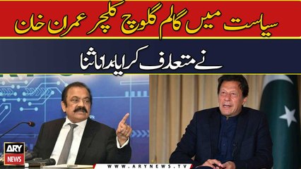 "Siasat mein galam galuch ka culture Imran Khan nay mutarif karwaya...", Rana Sanaullah
