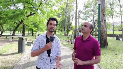 Why people moving from USA Canada and other European countries to Portugal