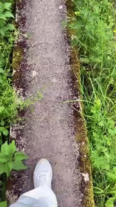 Petite balade