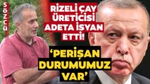 Erdoğan’ın Memleketi Rize’de Çay Üreticileri Adeta İsyan Etti! ‘Perişan Bir Durumumuz Var’
