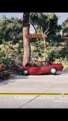 Crashing with Tree: Car Impact Experiments at Various Speeds