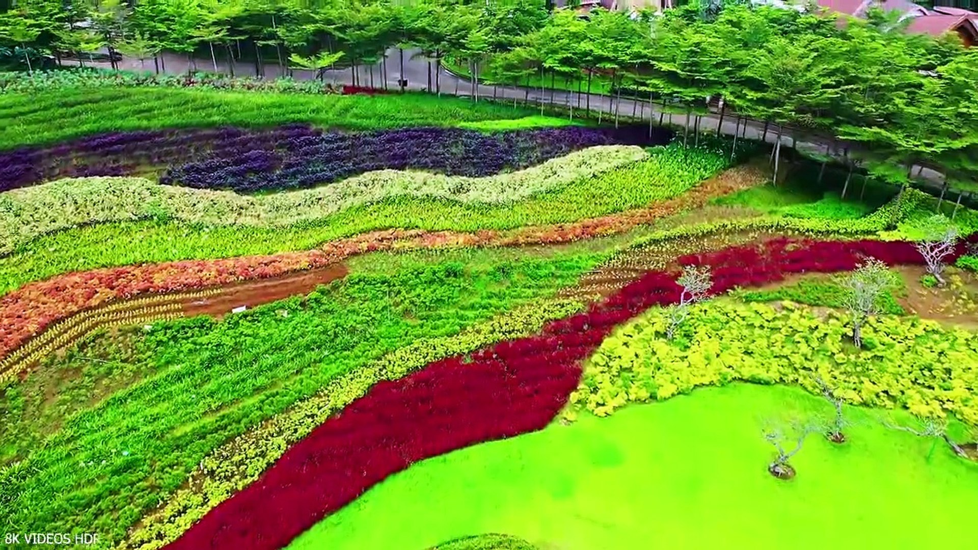⁣Around The World Experience in 8K ULTRA HD _ 8K TV Drone Video