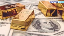 الاستثمار بالذهب ام الدولار - هل اشتري الذهب ام الدولار