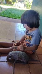 Armadillo and Friend Hang Out