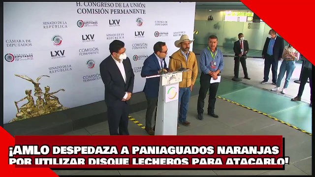 ¡VEAN! ¡AMLO despedaza a los paniaguados naranjas por utilizar a disque lecheros para atacarlo!