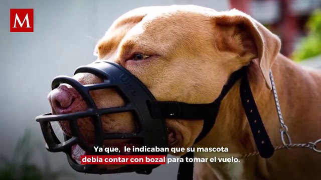 Joven denuncia discriminación de Viva Aerobus; no dejaron subir a su perrito sin bozal