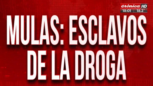 Mulas: esclavos de la droga