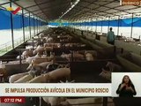 Gobernación del estado Guárico impulsa la producción de proteína animal en la entidad