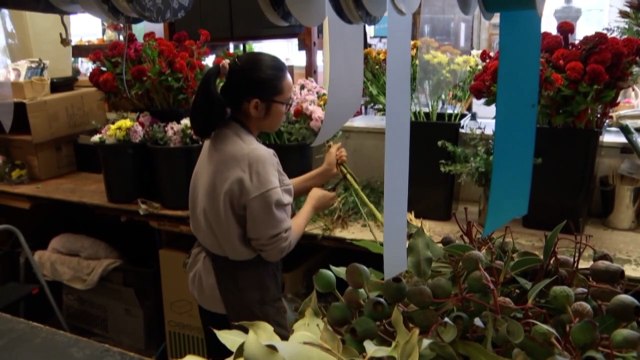 Government records strongest jobs numbers since May election