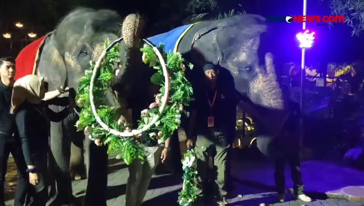 Uniknya Kolaborasi Permainan Cahaya dan Binatang Malam di Surabaya Night Zoo