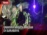 Sensasi Permainan Cahaya dan Binatang Malam di Surabaya Night Zoo
