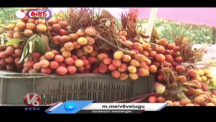 Public Shows Interest For Summer Special Litchi Fruits _ V6 Weekend Teenmaar