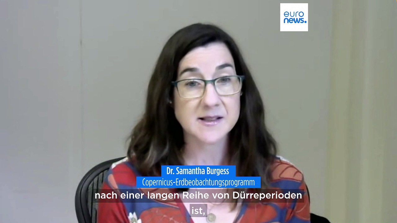 Verdurstet unter zuviel Wasser: Böden erholen sich nicht durch Starkregen
