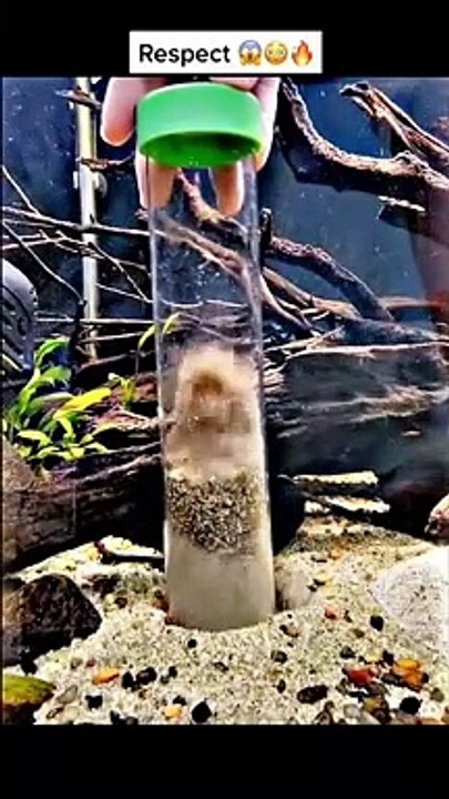 Clear the water 