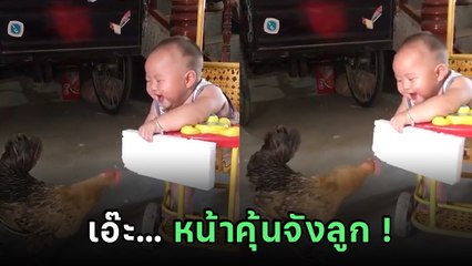 เอ็นดู หนูน้อยเล่นกับไก่ มีความสุขมาก แต่ชาวเน็ตหลุดโฟกัส หน้าคุ้นเกิ๊นนน