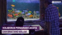 Wisata Malam di Kebun Binatang Surabaya, Kolaborasi Permainan Cahaya dan Binatang Malam