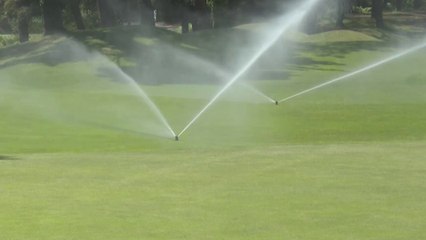Sécheresse : les terrains de golfs se mettent au compte-goutte