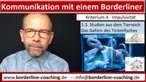 #Kommunikation mit einem #Borderliner  #Kriterium Nr. 4   #Impulsivität