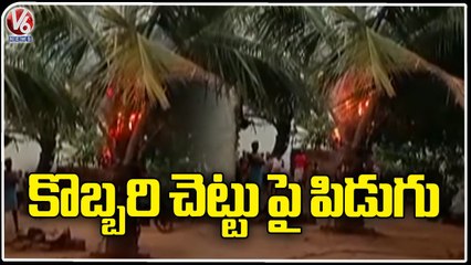 Lightning Strike Burns Coconut Tree In Rangareddy _ V6 News