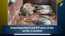 Forest Department and STF seize 13 live turtles, 3 arrested