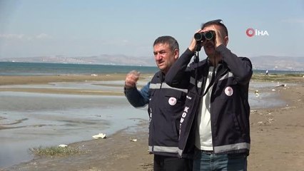 İnci kefali avcılarına göz açtırılmıyor