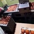 Smart Innovation - Egg Packing Made Easy #shorts #viral #shortsvideo #video #innovationhub