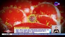 DOH: Mga kaso ng Omicron subvariant na XBB.1.16 o Arcturus, nadagdagan ng 7; kabuuang bilang, 11 na | BT