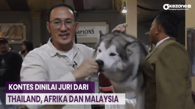 Ratusan Anjing Adu Ganteng dalam Kontes dan Pameran di Surabaya