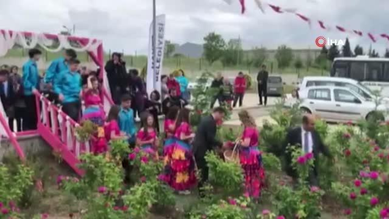 Edirne'de Gül Hasadı Şenliği