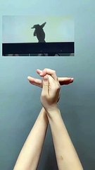 How to make Shadow Puppet with Your Hands