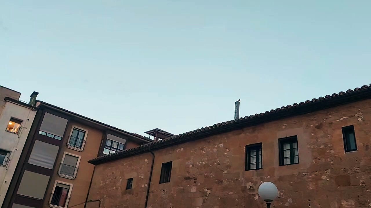 Aves en Santa Clara