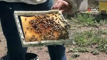 Hibe desteğiyle başladı! Yılda 5 bin tane üretip, paraya para demiyor