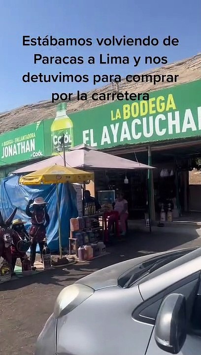 "Tienes un gran corazón": Joven conmueve al recoger una caja con perritos abandonados.