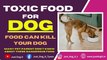 Toxic Food for Dogs | Dangerous foods for dogs | Food Your dog should never eat