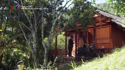 Hoa Cúc Vàng Trong Bảo - Tập 25: Câu Chuyện Đầy Cảm Xúc 🌼