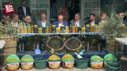Gemlik zeytinine Avrupa Birliği tescili geliyor