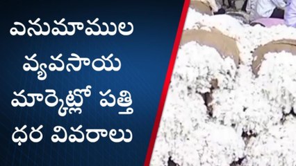 వరంగల్ : రైతుకు కన్నీళ్లు పెట్టిస్తున్న తెల్ల బంగారం