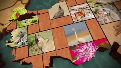 Biyokaçakçılıkla mücadelede 17 yılda 5,6 milyon lira idari para cezası uygulandı