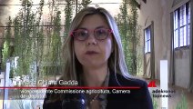 Agricoltura, on. Gadda: “Politica rifletta assieme ad imprese e istituti di ricerca”