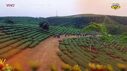 Khám Phá Những Bí Ẩn Trong Bảo Tập 31 của Hoa Cúc Vàng 🌼