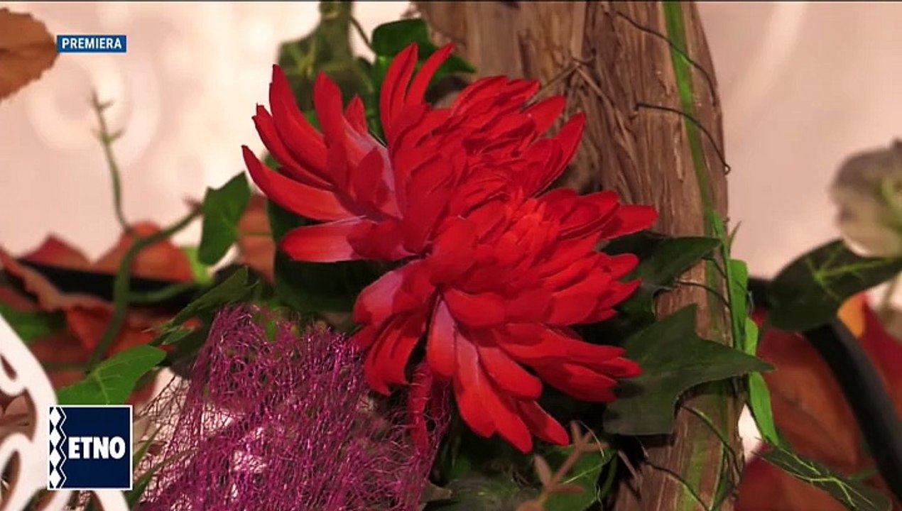 Cornelia Ardelean Archiudean - Zi-mi ceteras, zi-mi cu foc (Un cantec, o doina, un dor - ETNO TV - 20.05.2023)